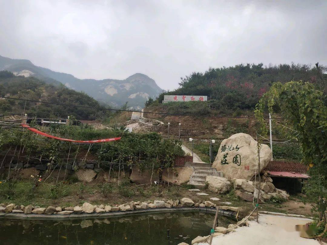 仔猪拉稀老不好怎么办？游戏画面