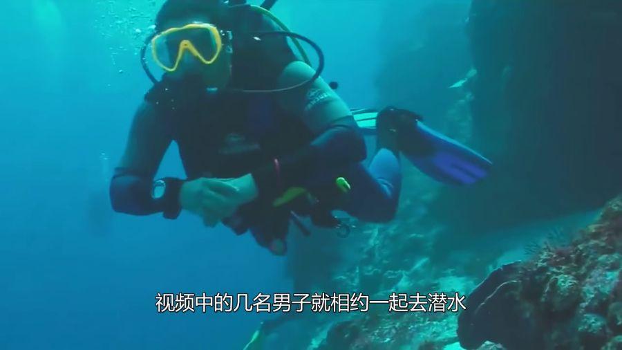 自由勇士历险记3